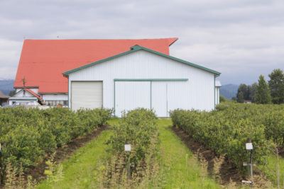 Image of metal farm building end wall with sliding door