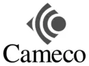 Cameco logo